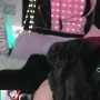 Sexy live cam screenshot of crimsonkitten's webcam / video chat room