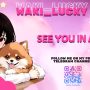 Sexy live cam screenshot of waki_lucky's webcam / video chat room