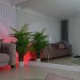 Sexy live cam screenshot of abbela_white's webcam / video chat room