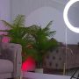 Sexy live cam screenshot of abbela_white's webcam / video chat room