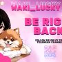 Sexy live cam screenshot of waki_lucky's webcam / video chat room