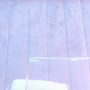 Sexy live cam screenshot of selinamoon's webcam / video chat room