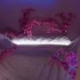 Sexy live cam screenshot of bunny_gaze's webcam / video chat room