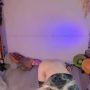 Sexy live cam screenshot of mollyflwers's webcam / video chat room