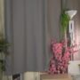 Sexy live cam screenshot of amberhollow's webcam / video chat room