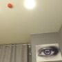 Sexy live cam screenshot of meganiex's webcam / video chat room