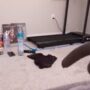 Sexy live cam screenshot of serareads's webcam / video chat room