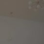 Sexy live cam screenshot of sexxylorry's webcam / video chat room