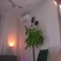 Sexy live cam screenshot of _kateline_'s webcam / video chat room
