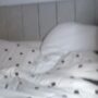 Sexy live cam screenshot of teishh's webcam / video chat room
