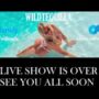 Sexy live cam screenshot of wildtequilla's webcam / video chat room