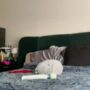 Sexy live cam screenshot of lunabianca1's webcam / video chat room