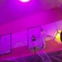 Sexy live cam screenshot of scarlet__rossi's webcam / video chat room