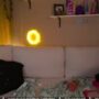 Sexy live cam screenshot of vivid_whit's webcam / video chat room